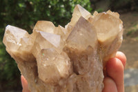 Natural Cascading Smokey Quartz Clusters x 2 From Luena, Congo - Toprock Gemstones and Minerals 