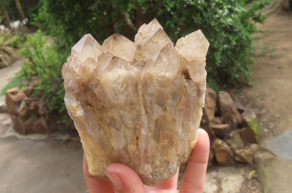 Natural Cascading Smokey Quartz Clusters x 2 From Luena, Congo - Toprock Gemstones and Minerals 