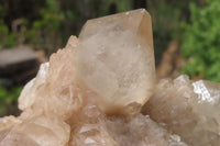 Natural Cascading Smokey Quartz Clusters x 2 From Luena, Congo - Toprock Gemstones and Minerals 