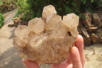 Natural Cascading Smokey Quartz Clusters x 2 From Luena, Congo - Toprock Gemstones and Minerals 