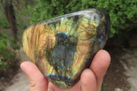 Polished Labradorite Standing Free Forms x 2 From Tulear, Madagascar - Toprock Gemstones and Minerals 