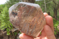 Polished Smokey Window Quartz Crystals x 2 From Madagascar - Toprock Gemstones and Minerals 