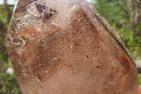 Polished Smokey Window Quartz Crystals x 2 From Madagascar - Toprock Gemstones and Minerals 