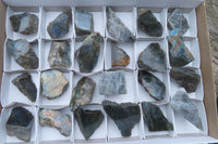 Polished On One Side Labradorite Specimens x 24 From Madagascar - Toprock Gemstones and Minerals 
