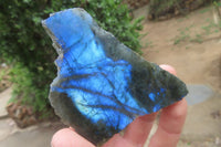 Polished On One Side Labradorite Specimens x 24 From Madagascar - Toprock Gemstones and Minerals 