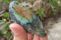 Polished On One Side Labradorite Specimens x 24 From Madagascar - Toprock Gemstones and Minerals 