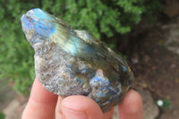 Polished On One Side Labradorite Specimens x 24 From Madagascar - Toprock Gemstones and Minerals 