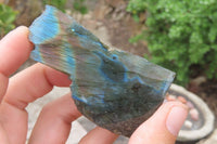 Polished On One Side Labradorite Specimens x 24 From Madagascar - Toprock Gemstones and Minerals 