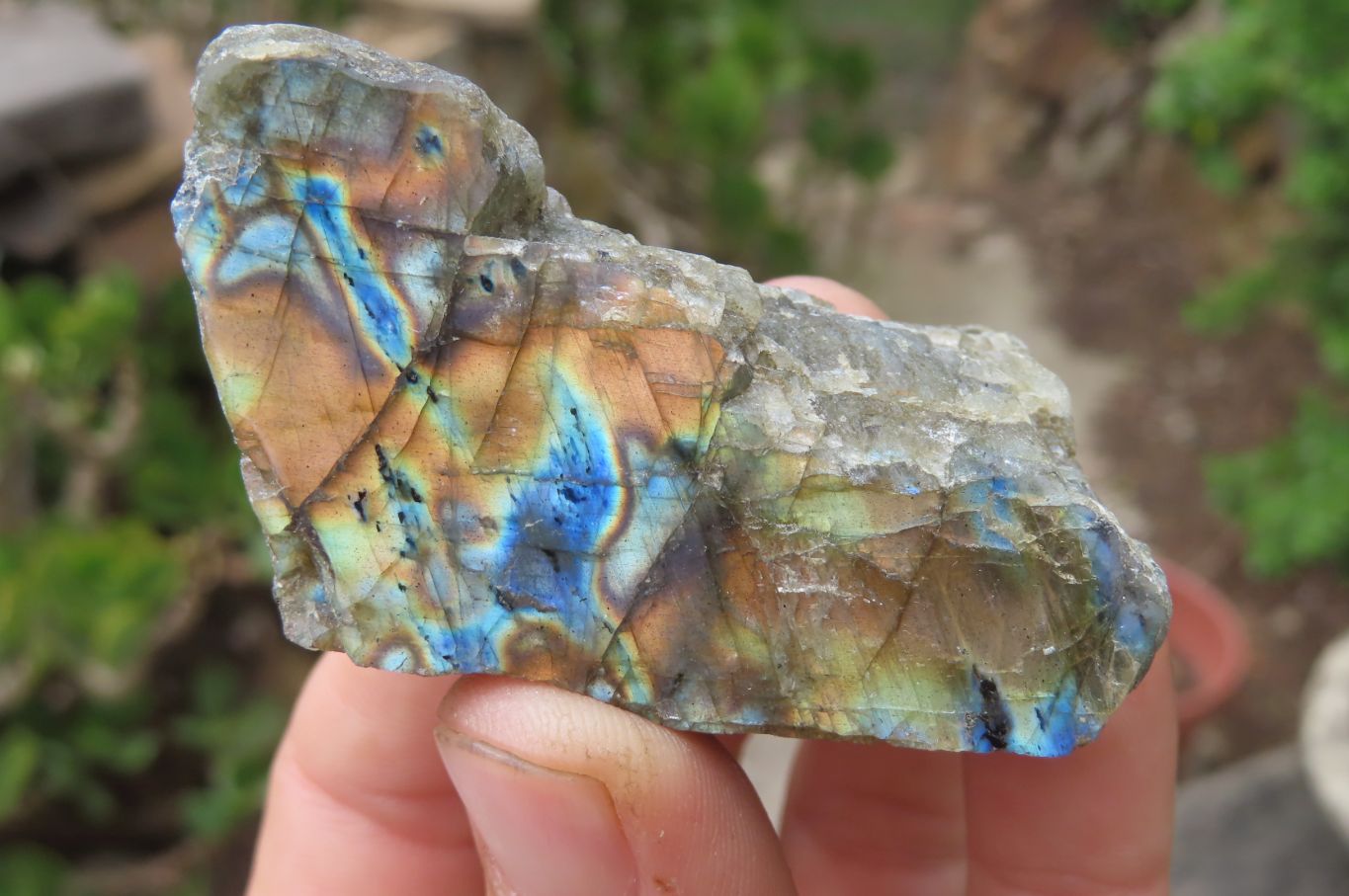 Polished On One Side Labradorite Specimens x 24 From Madagascar - Toprock Gemstones and Minerals 