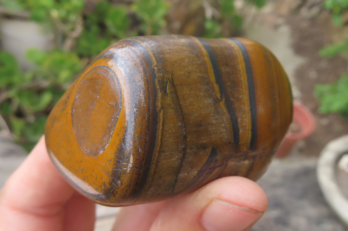 Polished Tiger's Eye Free Forms x 6 From Prieska, South Africa - Toprock Gemstones and Minerals 