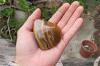 Polished Tiger's Eye Free Forms x 6 From Prieska, South Africa - Toprock Gemstones and Minerals 
