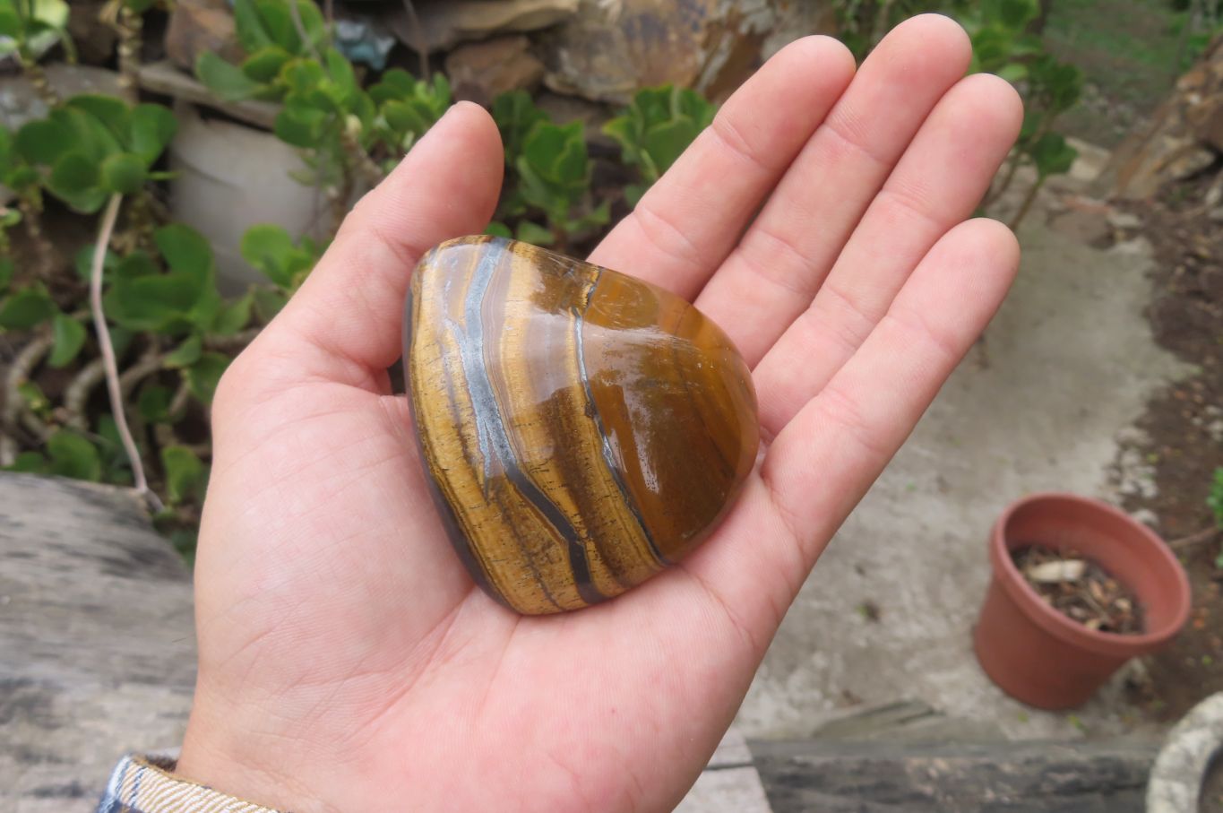 Polished Tiger's Eye Free Forms x 6 From Prieska, South Africa - Toprock Gemstones and Minerals 