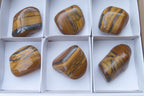 Polished Tiger's Eye Free Forms x 6 From Prieska, South Africa - Toprock Gemstones and Minerals 