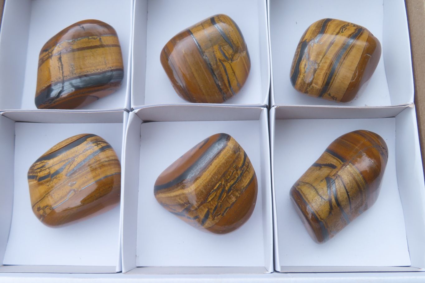 Polished Tiger's Eye Free Forms x 6 From Prieska, South Africa - Toprock Gemstones and Minerals 