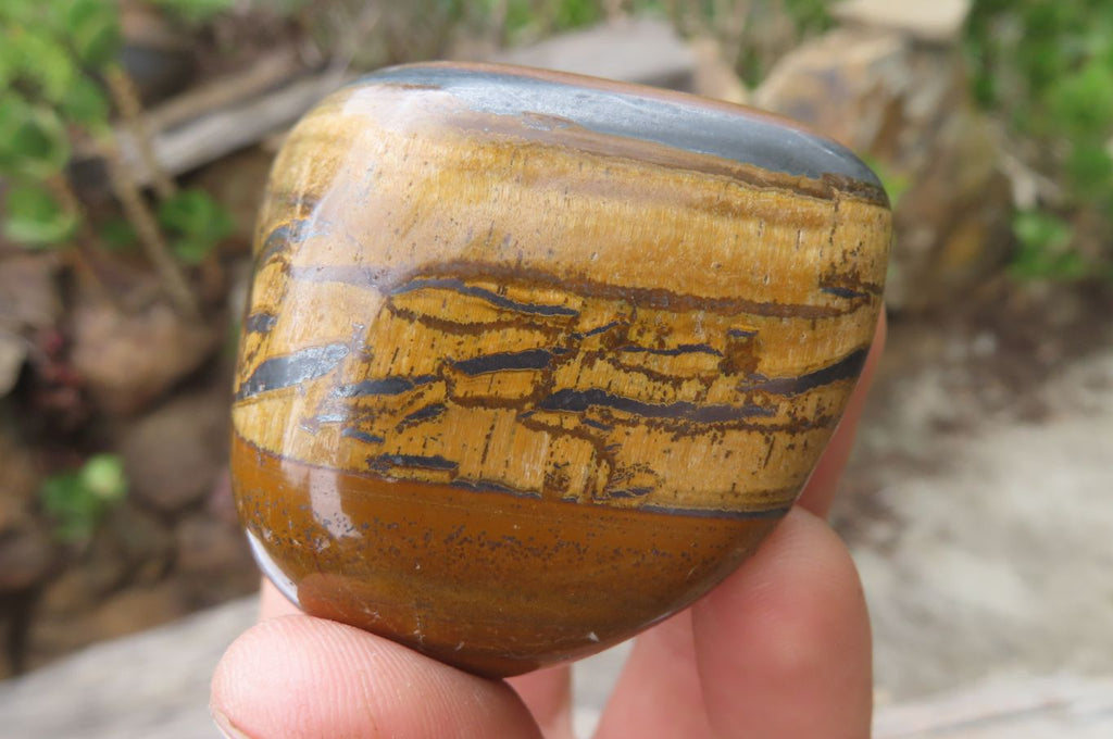 Polished Tiger's Eye Free Forms x 6 From Prieska, South Africa - Toprock Gemstones and Minerals 