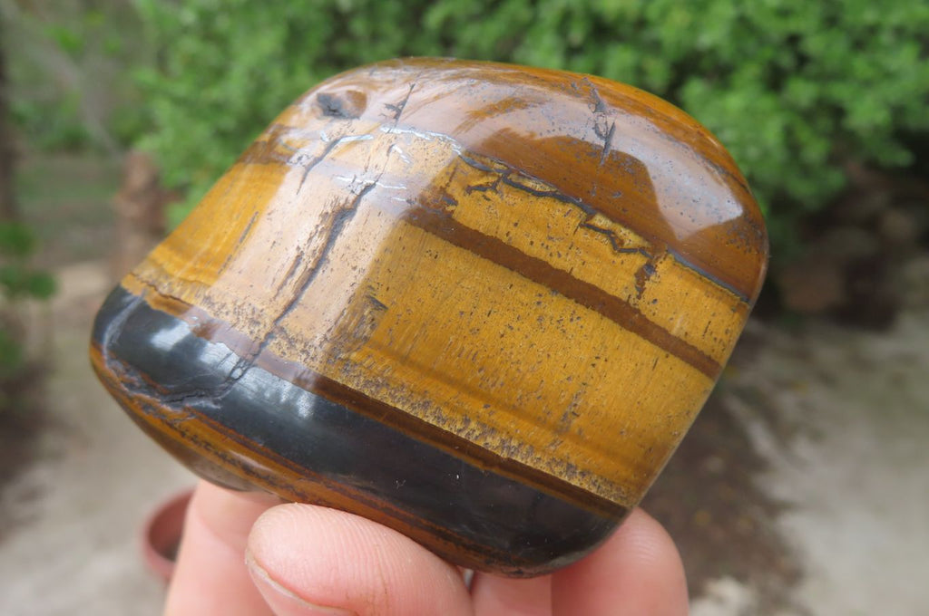 Polished Tiger's Eye Free Forms x 6 From Prieska, South Africa - Toprock Gemstones and Minerals 