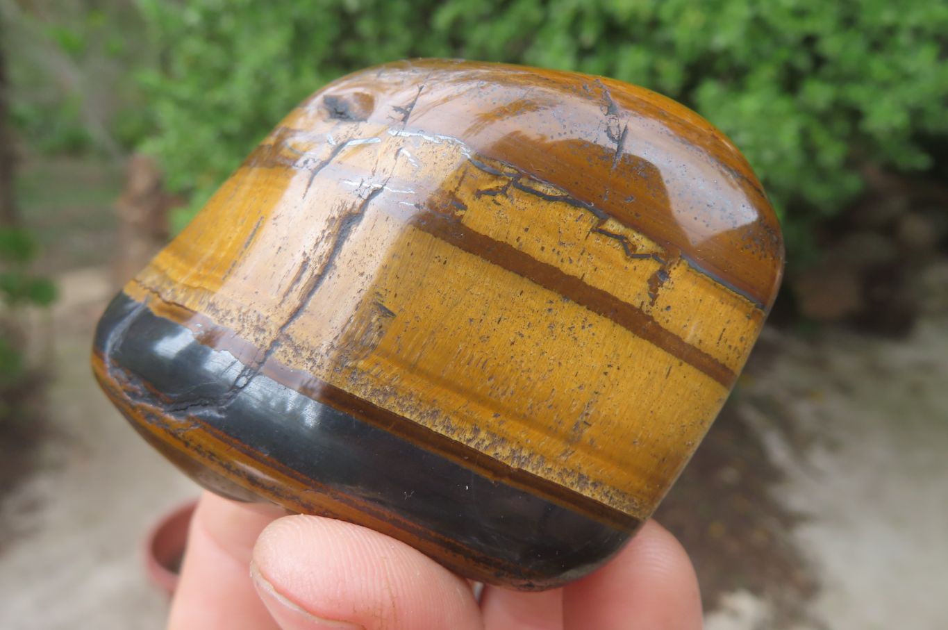 Polished Tiger's Eye Free Forms x 6 From Prieska, South Africa - Toprock Gemstones and Minerals 