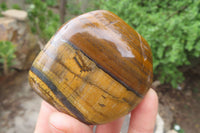 Polished Tiger's Eye Free Forms x 6 From Prieska, South Africa