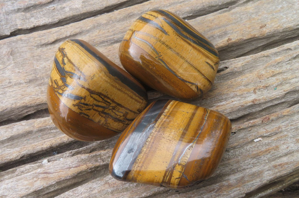 Polished Tiger's Eye Free Forms x 6 From Prieska, South Africa - Toprock Gemstones and Minerals 