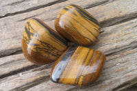 Polished Tiger's Eye Free Forms x 6 From Prieska, South Africa