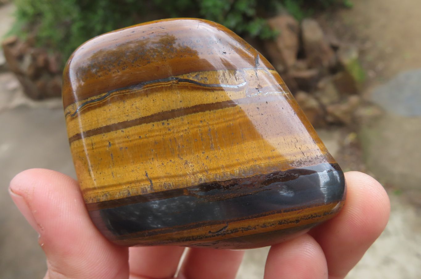 Polished Tiger's Eye Free Forms x 6 From Prieska, South Africa - Toprock Gemstones and Minerals 