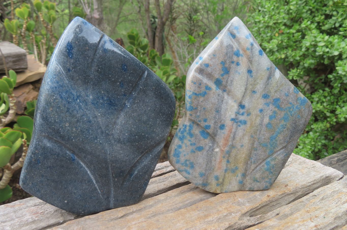 Polished Blue Spinel Spotted Quartz Leaf Sculptures x 2 From Madagascar - Toprock Gemstones and Minerals 