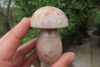 Polished Polychrome Jasper Mushrooms x 6 From Madagascar - Toprock Gemstones and Minerals 