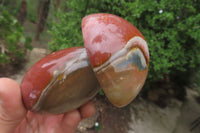 Polished Polychrome Jasper Mushrooms x 6 From Madagascar - Toprock Gemstones and Minerals 