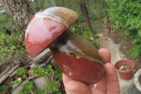 Polished Polychrome Jasper Mushrooms x 6 From Madagascar - Toprock Gemstones and Minerals 