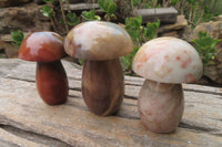 Polished Polychrome Jasper Mushrooms x 6 From Madagascar - Toprock Gemstones and Minerals 