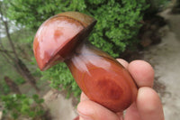 Polished Polychrome Jasper Mushrooms x 6 From Madagascar - Toprock Gemstones and Minerals 
