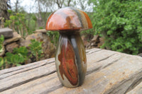 Polished Polychrome Jasper Mushrooms x 6 From Madagascar - Toprock Gemstones and Minerals 