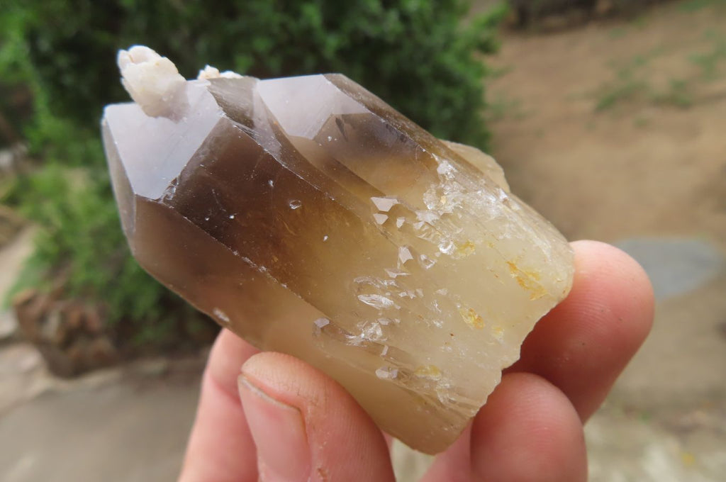 Natural Smokey Quartz Crystals x 35 From Zimbabwe - Toprock Gemstones and Minerals 