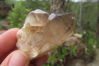 Natural Smokey Quartz Crystals x 35 From Zimbabwe - Toprock Gemstones and Minerals 