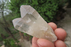 Natural Smokey Quartz Crystals x 35 From Zimbabwe - Toprock Gemstones and Minerals 