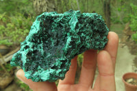 Natural Silky Malachite Specimens x 6 From Kasompe, Congo - Toprock Gemstones and Minerals 