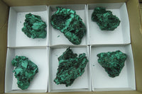 Natural Silky Malachite Specimens x 6 From Kasompe, Congo - Toprock Gemstones and Minerals 