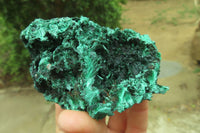 Natural Silky Malachite Specimens x 6 From Kasompe, Congo - Toprock Gemstones and Minerals 