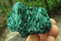 Natural Silky Malachite Specimens x 6 From Kasompe, Congo - Toprock Gemstones and Minerals 