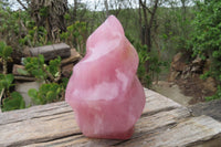 Polished Rose Quartz Flame Sculpture x 1 From Madagascar - Toprock Gemstones and Minerals 