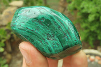 Polished Flower Banded Malachite Free Forms x 12 From Congo - Toprock Gemstones and Minerals 