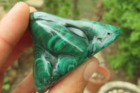 Polished Flower Banded Malachite Free Forms x 12 From Congo - Toprock Gemstones and Minerals 