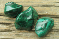 Polished Flower Banded Malachite Free Forms x 12 From Congo - Toprock Gemstones and Minerals 