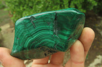 Polished Flower Banded Malachite Free Forms x 12 From Congo - Toprock Gemstones and Minerals 