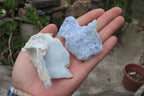 Natural Etched Blue Chalcedony Specimens x 35 From Nsanje, Malawi - Toprock Gemstones and Minerals 