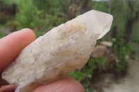 Natural Pineapple Candle Quartz Crystals x 35 From Antsirabe, Madagascar - Toprock Gemstones and Minerals 