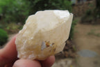 Natural Pineapple Candle Quartz Crystals x 35 From Antsirabe, Madagascar - Toprock Gemstones and Minerals 