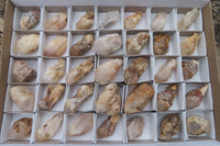 Natural Pineapple Candle Quartz Crystals x 35 From Antsirabe, Madagascar - Toprock Gemstones and Minerals 