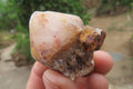 Natural Pineapple Candle Quartz Crystals x 35 From Antsirabe, Madagascar - Toprock Gemstones and Minerals 