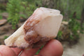 Natural Pineapple Candle Quartz Crystals x 35 From Antsirabe, Madagascar - Toprock Gemstones and Minerals 